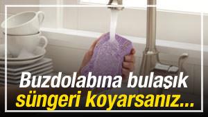 Sebzelerin &ccedil;&uuml;r&uuml;mesini &ouml;nleyen inanılmaz y&ouml;ntem