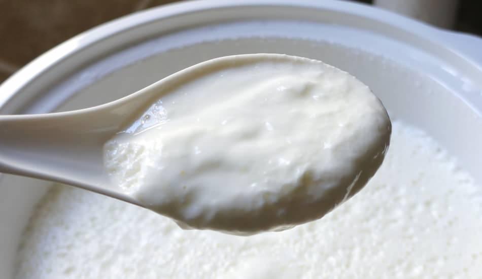 yogurt_mayalamanin_kolay_yolu_nedir_evde_pratik_yogurt_nasil_yapilir_1580551153_2275.jpg