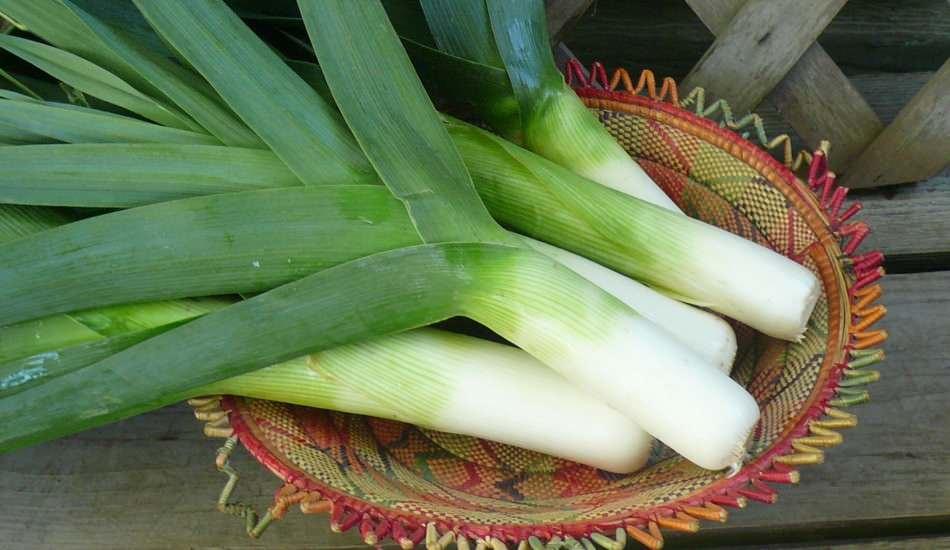 pirasa_mucizesi_pirasanin_cilde_ve_saca_faydasi_var_mi_pirasa_yuze_surulur_mu_1586611451_2154.jpg