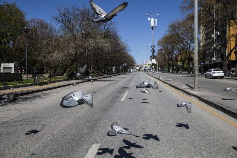 Ankara'da caddeler kuşlara kaldı. 