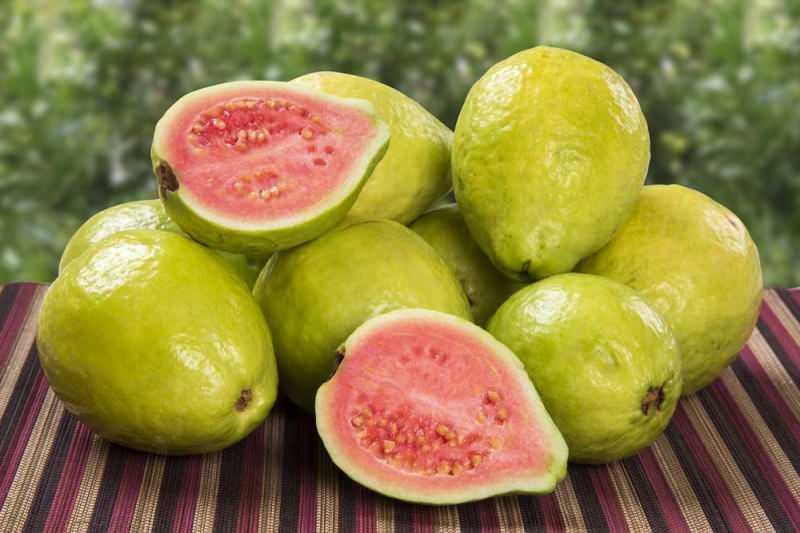 Guava meyvesi nedir? Guava meyvesi nasıl yenir & Faydaları nelerdir