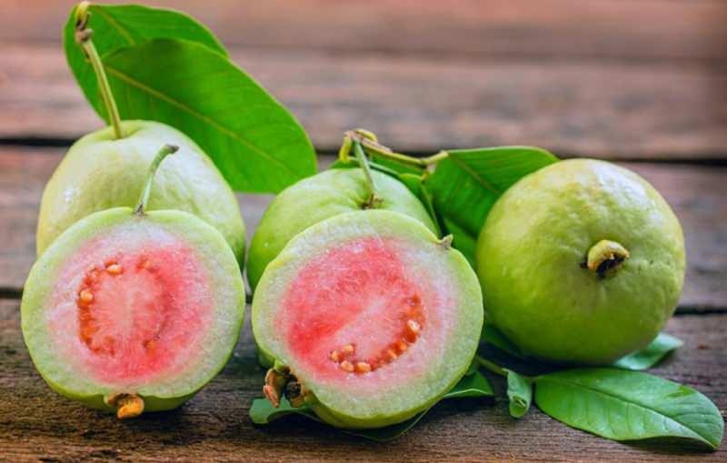 Guava meyvesi nedir? Guava meyvesi nasıl yenir & Faydaları nelerdir