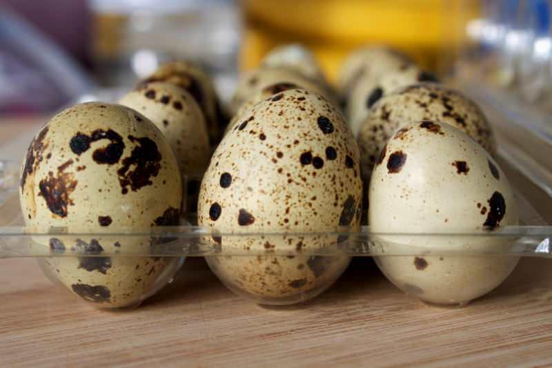 Bıldırcın yumurtasının faydaları nelerdir? Bıldırcın yumurtası tüketimi & Zararı var mı