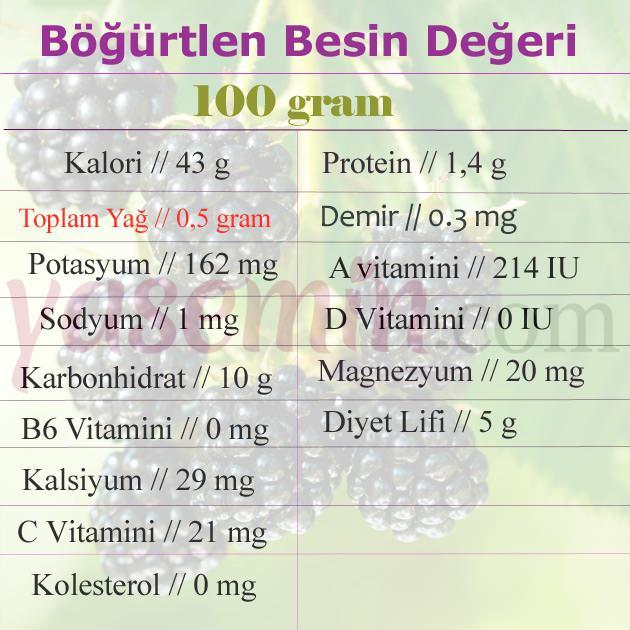 böğürtlen besin değeri