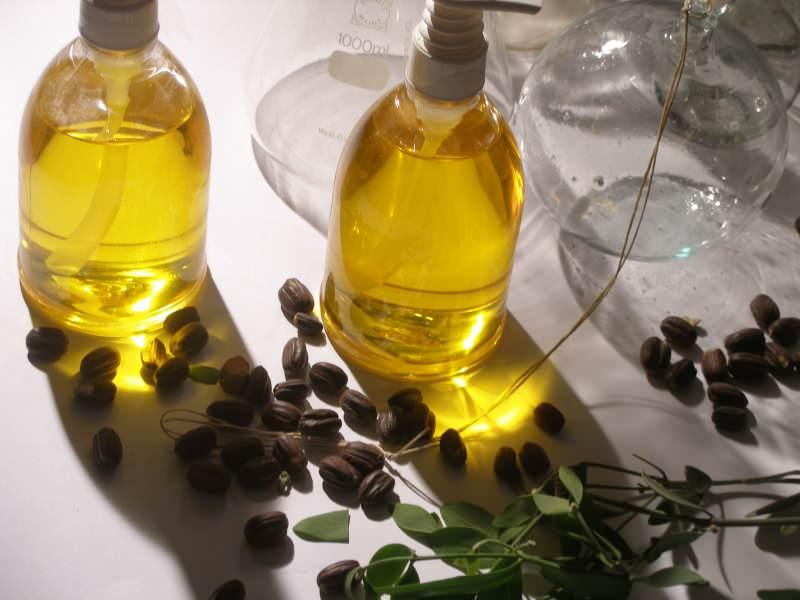 Jojoba yağının faydaları nelerdir? Jojoba yağının kullanım alanları...