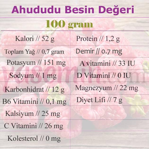 Ahududunun faydaları nelerdir? Kan yapıcı besin olan ahududu! Ahududu suyu içerseniz...