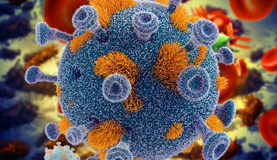 cinde_ortaya_cikan_yeni_virus_bunyavirusu_nedir_ve_belirtileri_nelerdir_bunyavirusu_etkileri_1596702927_8013.jpg