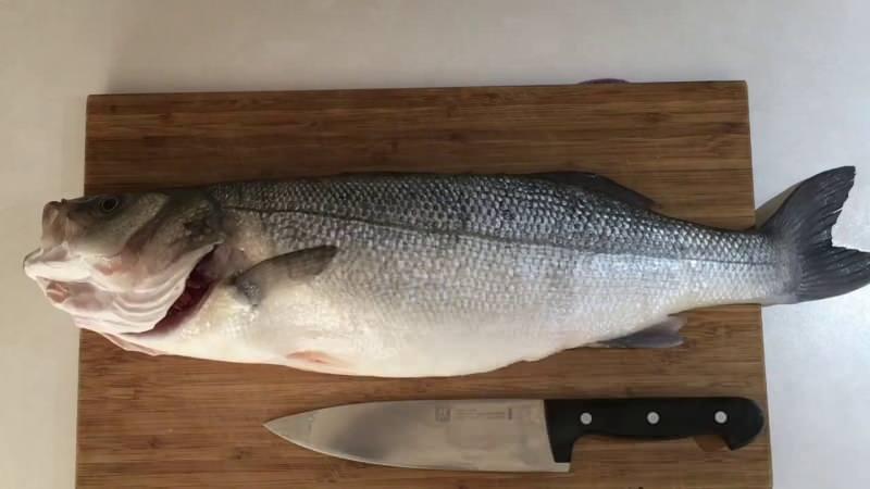 balık açarken hangi bıçak kullanılır