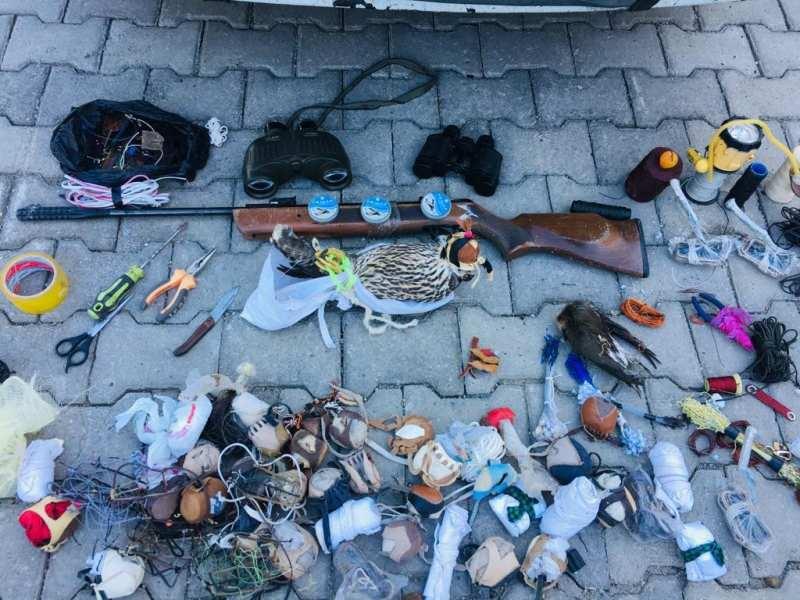 Kars'ta yırtıcı kuş kaçakçıları suçüstü yakalandı