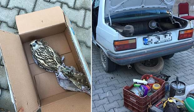 Kars'ta yırtıcı kuş kaçakçıları suçüstü yakalandı