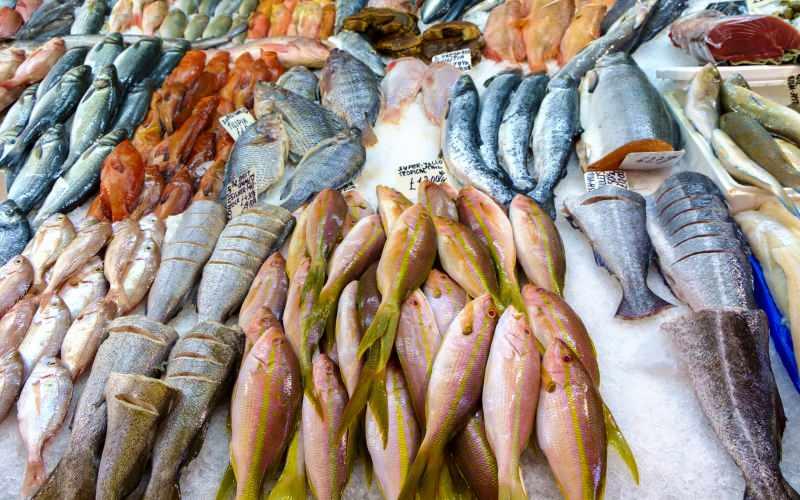 her balık çeşidinde yüksek miktarda omega3 yağ asidi bulunuyor