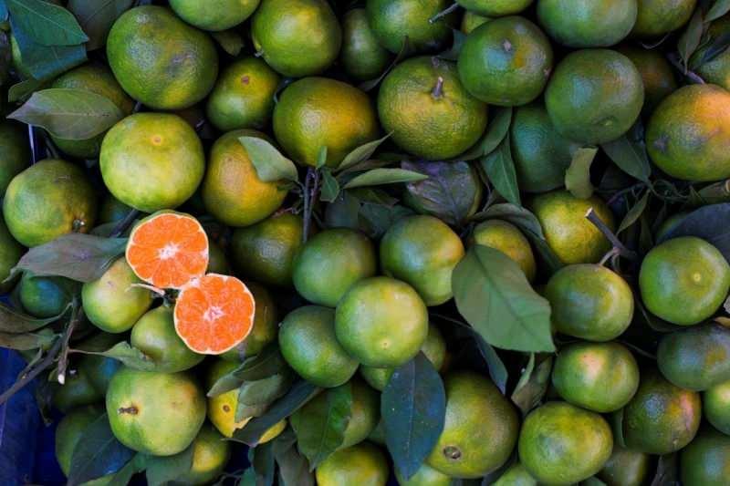 yeşil mandalina yüksek oranda antioksidan içerir