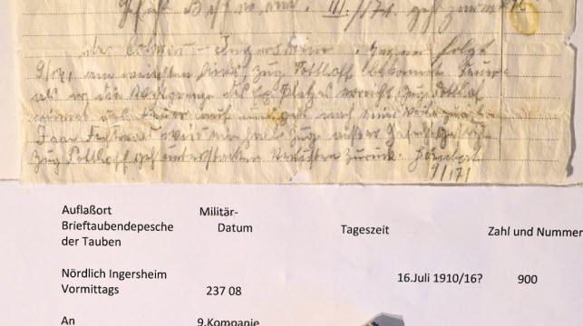 Fransa'da posta güvercinin düşürdüğü 110 yıllık askeri mesaj bulundu