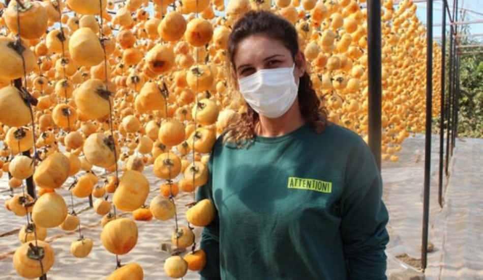 40_kilo_ile_balkonunda_basladi_simdi_siparislere_yetisemiyor_yillik_tam_50_ton_cennet_elmasi_1605077502_6763.jpg