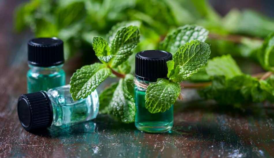nane_yaginin_faydalari_nelerdir_nane_yagi_nerelerde_nasil_kullanilir_1607946688_2242.jpg