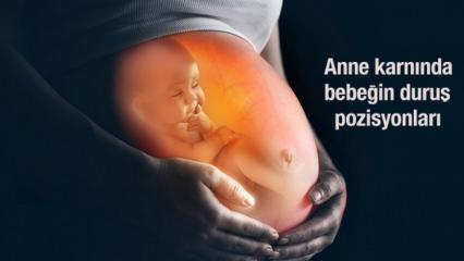 Muzlu Bebek Muhallebisi Tarifi Muz Bebeklerde Kilo Aldirir Mi Kabizlik Yapar Mi Bebek Haberleri