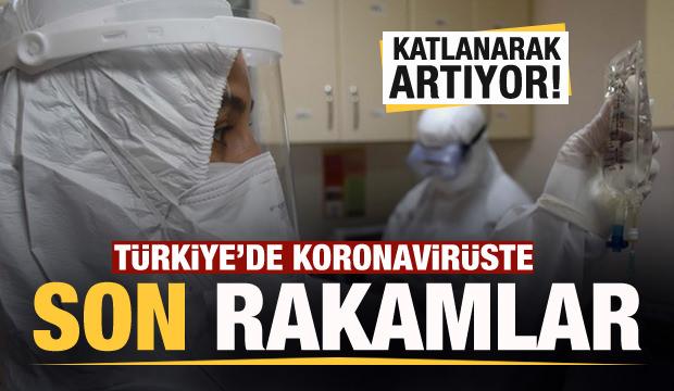 Son Dakika Haberi 14 Kasim Koronavirus Tablosu Hasta Olu Sayisi Ve Son Durum Aciklandi Guncel Haberleri
